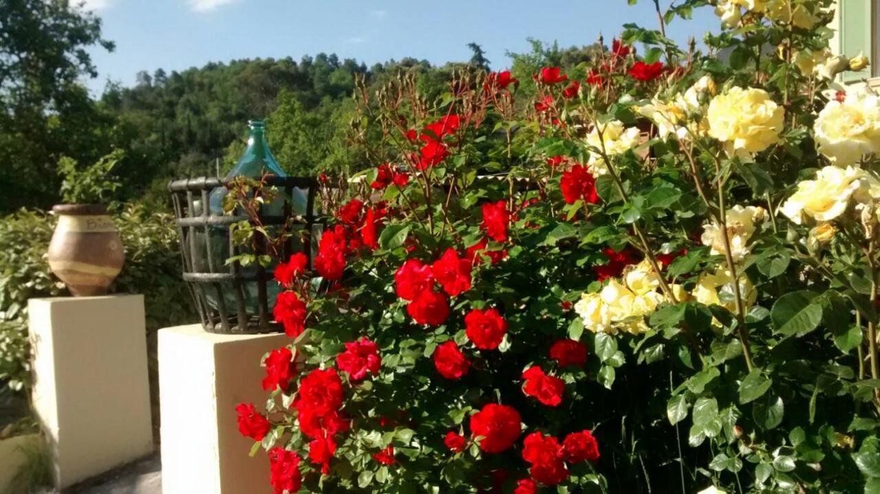 Bed and Breakfast Lou Mas Dau Paigran Saint-Blaise  Exteriér fotografie